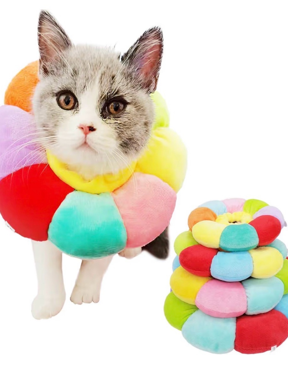PET | flower recovery collar